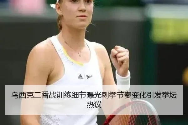 乌西克二番战训练细节曝光刺拳节奏变化引发拳坛热议